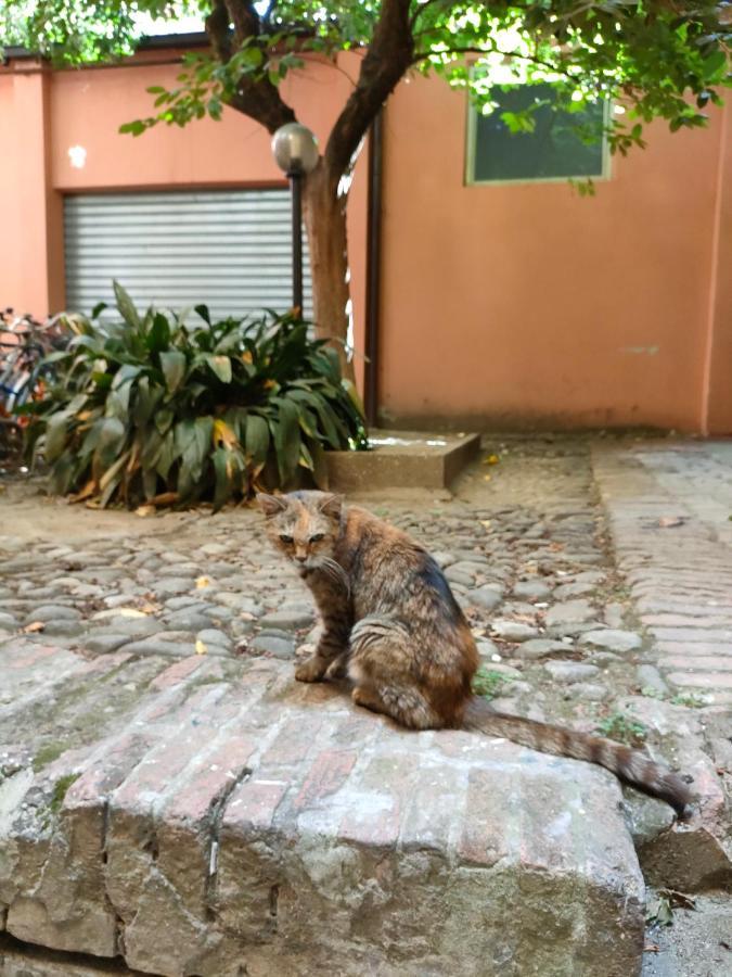 Il Sitarein Lägenhet Bologna Exteriör bild