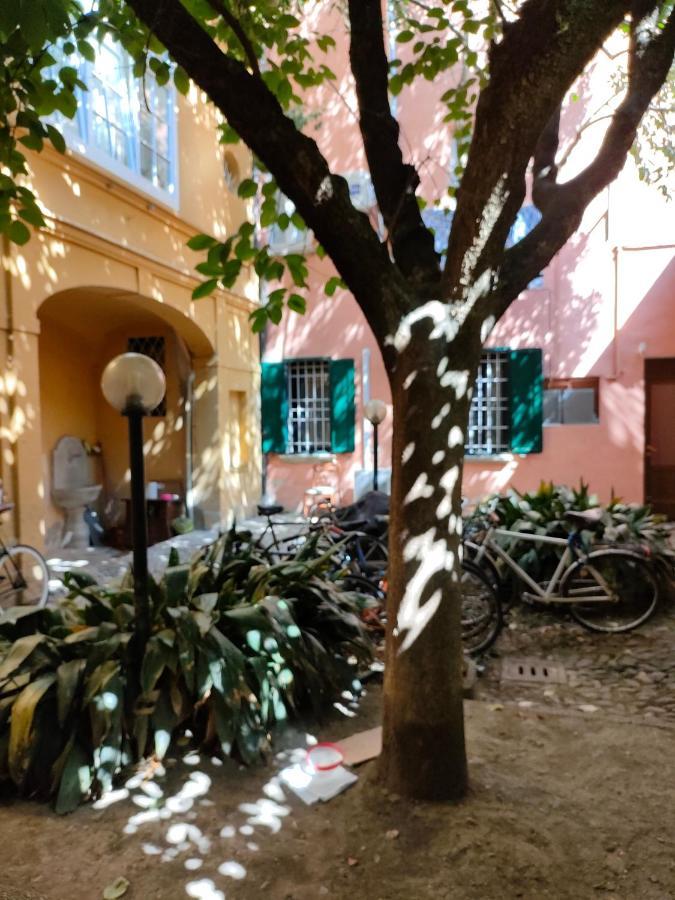 Il Sitarein Lägenhet Bologna Exteriör bild
